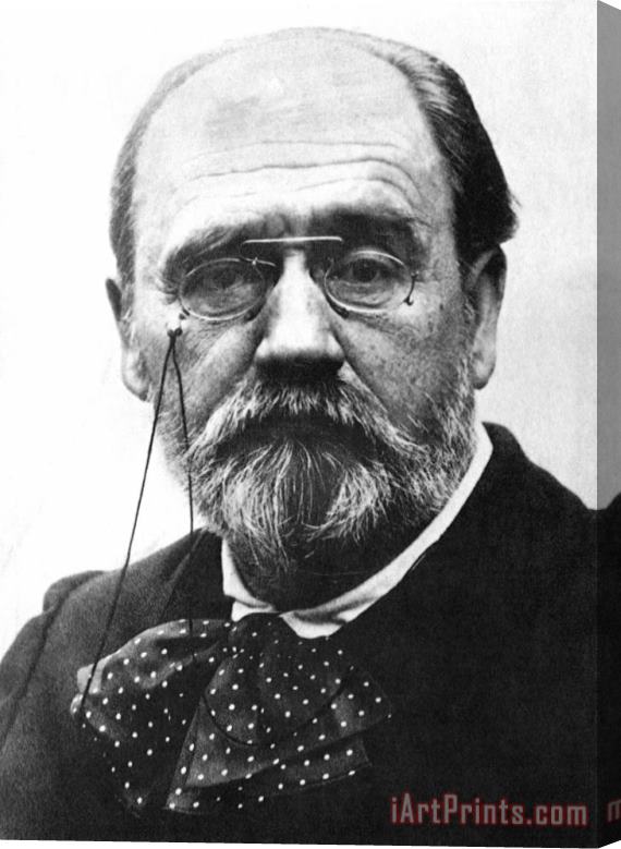 Others Emile Zola (1840-1902) Stretched Canvas Print / Canvas Art