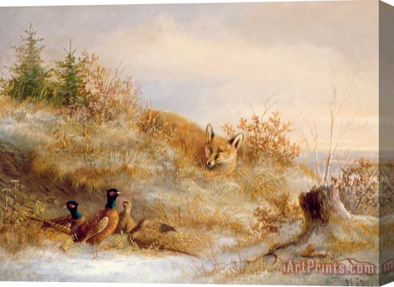 Others Fox and Pheasants in Winter Stretched Canvas Print / Canvas Art