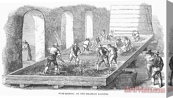 Others France: Winemaking, 1854 Stretched Canvas Print / Canvas Art