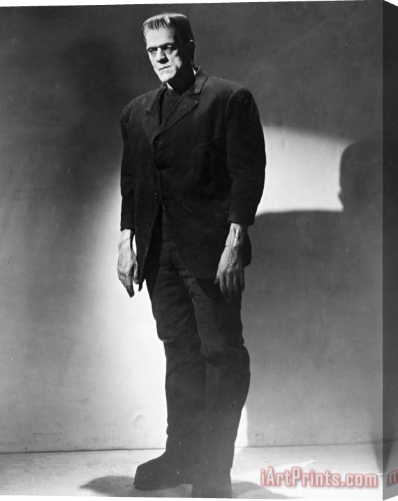 Others Frankenstein, 1931 Stretched Canvas Print / Canvas Art