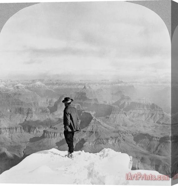 Others Grand Canyon: Sightseer Stretched Canvas Print / Canvas Art