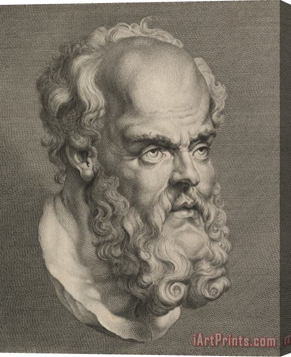 Others Head Of Socrates Stretched Canvas Print / Canvas Art