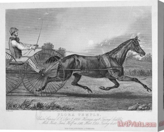 Others Horse Racing, 1857 Stretched Canvas Print / Canvas Art