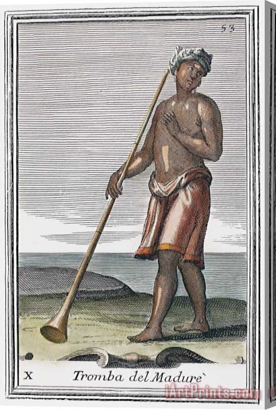 Others Indian Trumpet, 1723 Stretched Canvas Print / Canvas Art