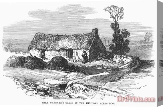 Others Ireland: Cabin, 1870 Stretched Canvas Print / Canvas Art