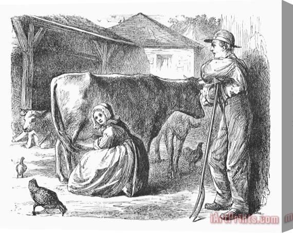 Others Milking, 19th Century Stretched Canvas Print / Canvas Art