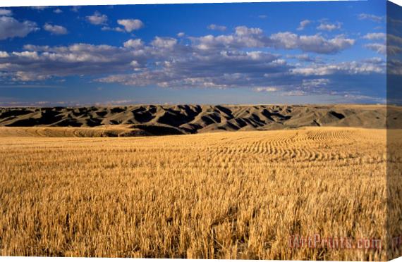 Others Montana Field And Hills Stretched Canvas Print / Canvas Art