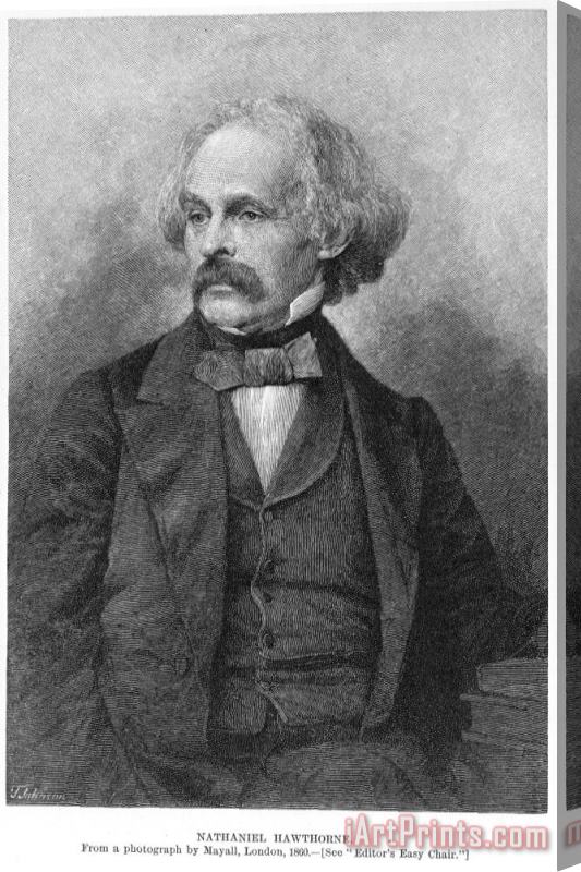 Others Nathaniel Hawthorne Stretched Canvas Print / Canvas Art