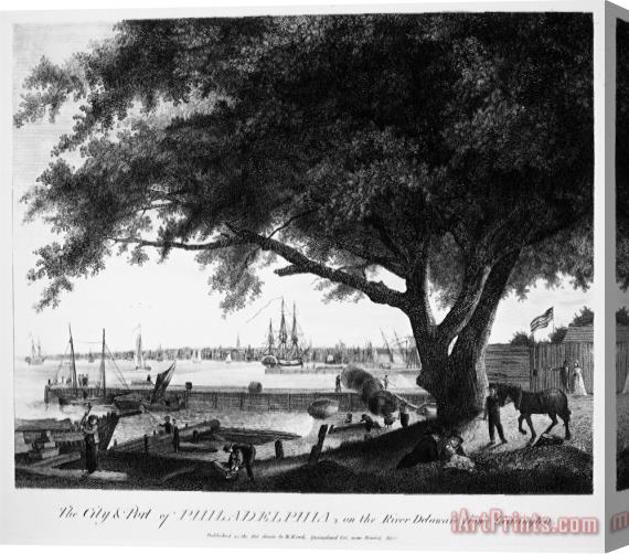 Others Port Of Philadelphia, 1800 Stretched Canvas Painting / Canvas Art
