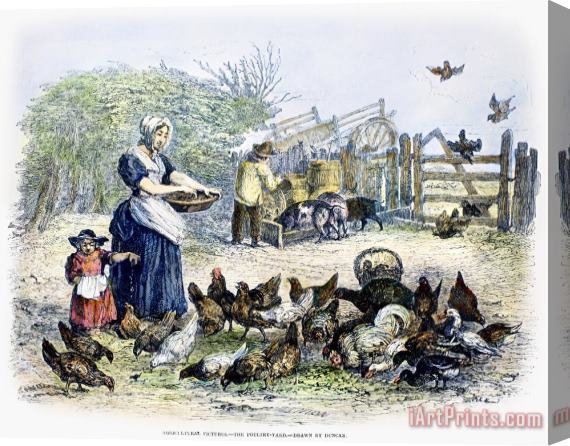 Others Poultry Yard, 1847 Stretched Canvas Print / Canvas Art