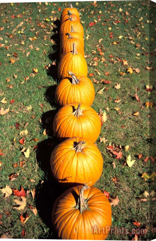 Others Pumpkins In A Row Stretched Canvas Painting / Canvas Art