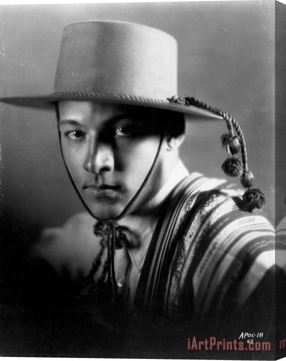 Others Rudolph Valentino Stretched Canvas Print / Canvas Art