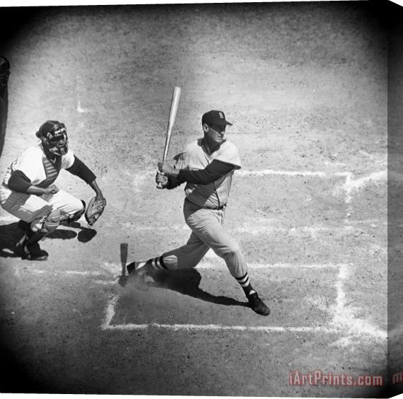 Others Ted Williams (1918-2002) Stretched Canvas Print / Canvas Art