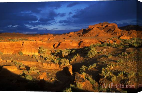 Others The Gobi Stretched Canvas Print / Canvas Art