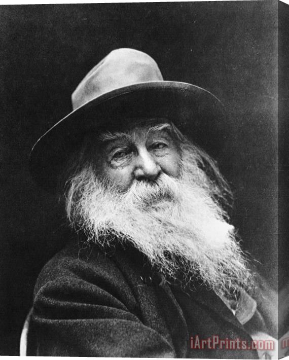 Others Walt Whitman (1819-1892) Stretched Canvas Print / Canvas Art
