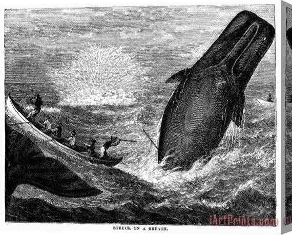 Others WHALING, 19th CENTURY Stretched Canvas Print / Canvas Art