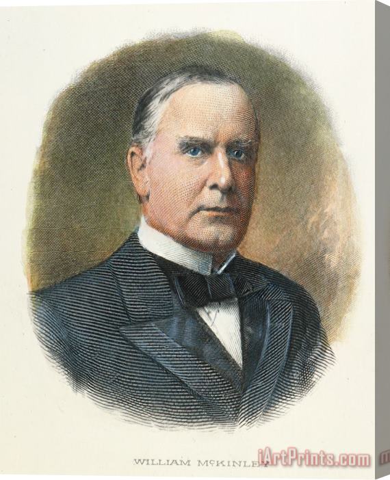 Others WILLIAM McKINLEY (1843-1901): Stretched Canvas Print / Canvas Art