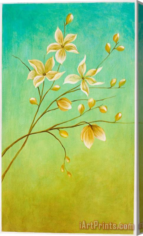 Pablo Esteban Flowers 2 Stretched Canvas Print / Canvas Art