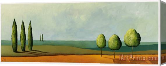 Pablo Esteban Tuscan Field Stretched Canvas Painting / Canvas Art