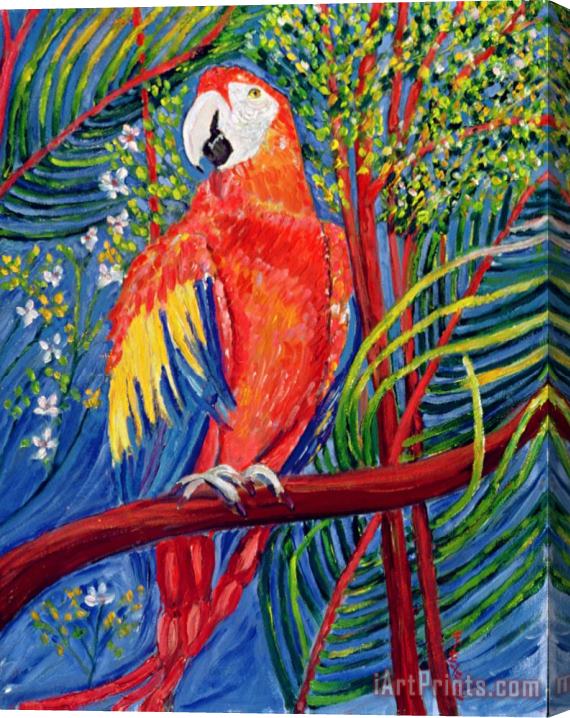 Patricia Eyre Pretty Polly Stretched Canvas Print / Canvas Art