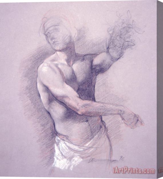 Patrick Devonas Conte Drawing From Imagination Male Torso Stretched Canvas Painting / Canvas Art