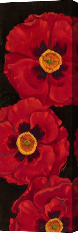 Paul Brent Bella Grande Poppies Stretched Canvas Painting / Canvas Art