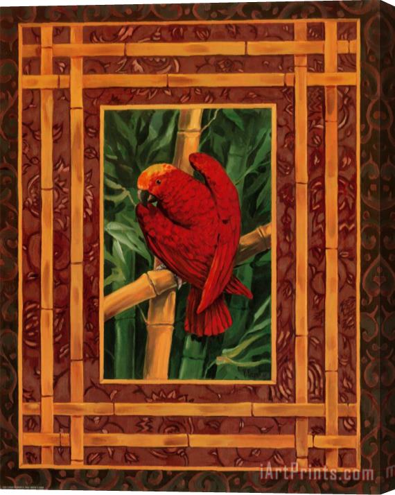 Paul Brent Crimson Parrot Stretched Canvas Painting / Canvas Art