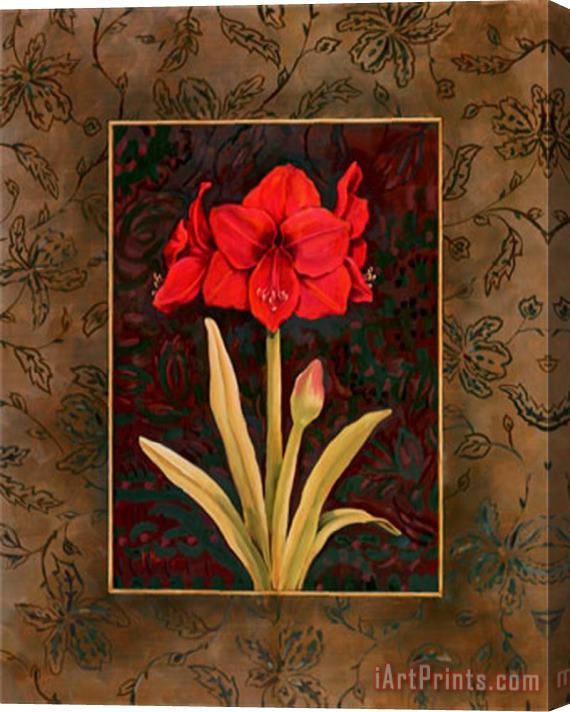 Paul Brent Damask Amaryllis Stretched Canvas Print / Canvas Art