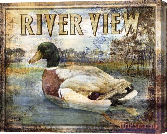 Paul Brent Duck Sign I Stretched Canvas Print / Canvas Art