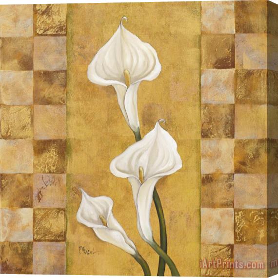 Paul Brent Flora Del Rey II Stretched Canvas Painting / Canvas Art