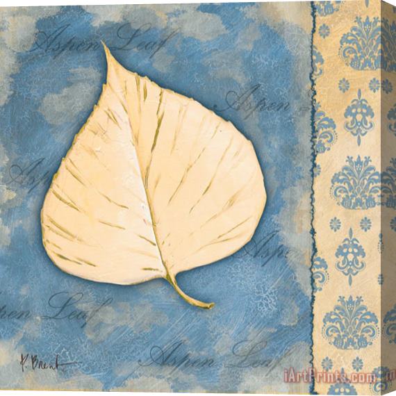 Paul Brent Leaf Oasis II Stretched Canvas Print / Canvas Art