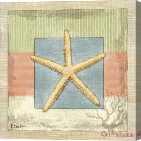 Paul Brent Montego Starfish Stretched Canvas Print / Canvas Art