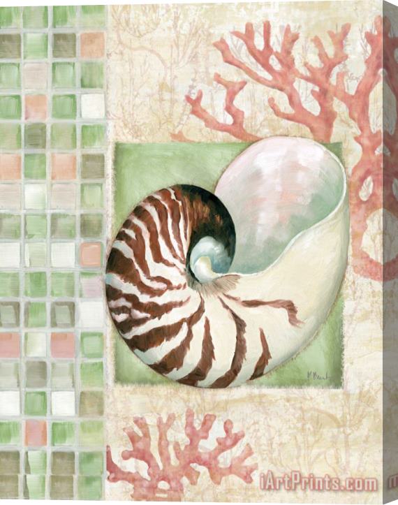 Paul Brent Mosaic Shell Collage I Stretched Canvas Print / Canvas Art