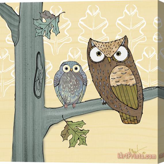 Paul Brent Pastel Owls Iv Stretched Canvas Print / Canvas Art