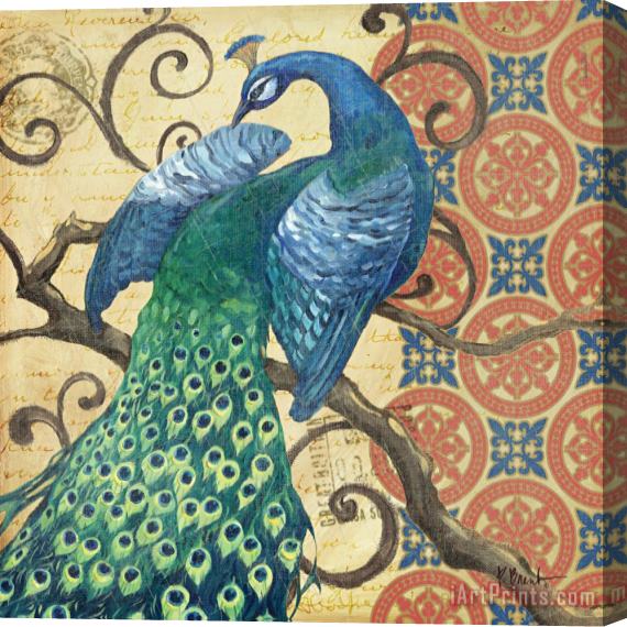 Paul Brent Peacock's Splendor II Stretched Canvas Print / Canvas Art