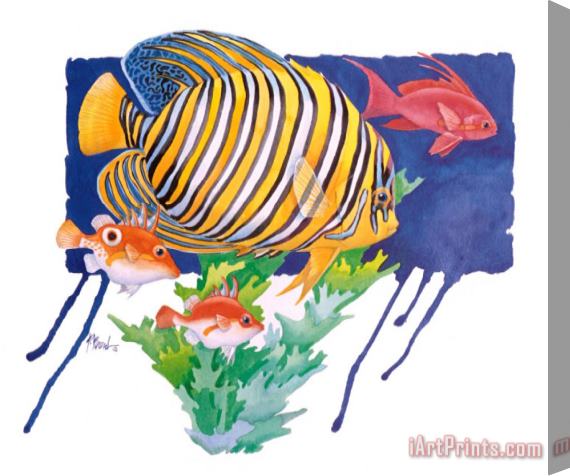 Paul Brent Regal Angel Fish Stretched Canvas Print / Canvas Art