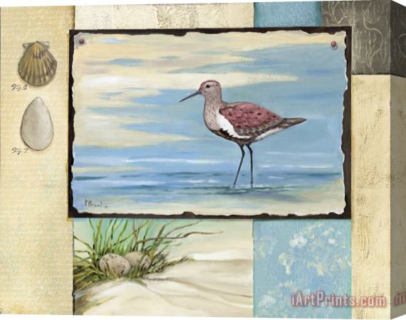 Paul Brent Sandpiper Collage II Stretched Canvas Painting / Canvas Art