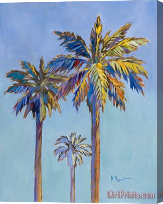 Paul Brent Santa Rita Palms II Stretched Canvas Print / Canvas Art