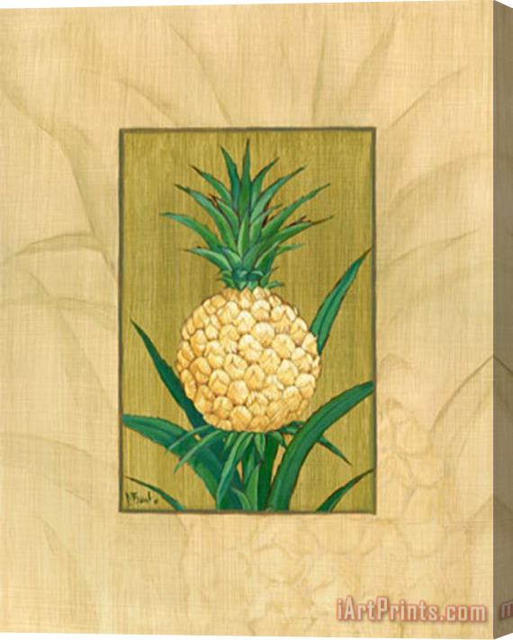 Paul Brent Sugar Loaf Pineapple Stretched Canvas Painting / Canvas Art