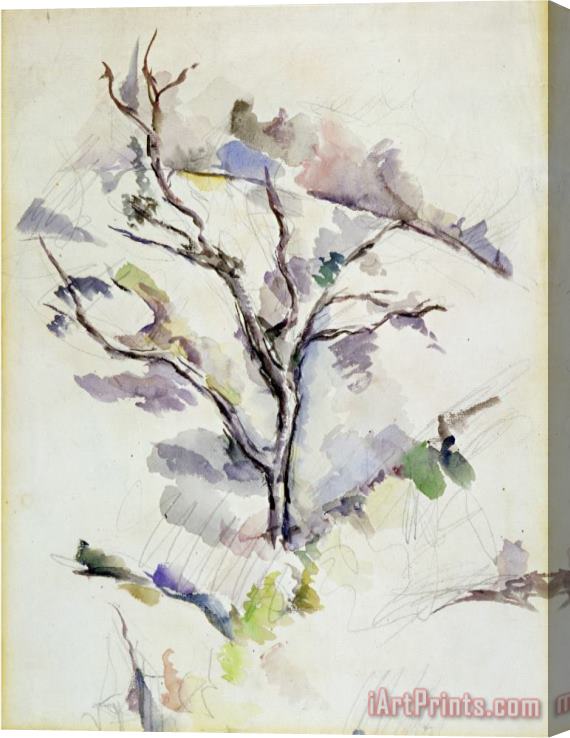 Paul Cezanne The Oak Stretched Canvas Print / Canvas Art
