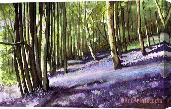 Paul Dene Marlor Bluebells at Grimescar wood Stretched Canvas Painting / Canvas Art