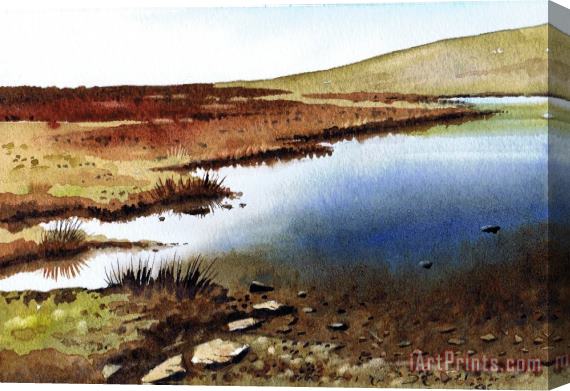 Paul Dene Marlor Cupwith Reservoir Stretched Canvas Print / Canvas Art