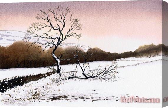 Paul Dene Marlor Fallen Tree Stainland Stretched Canvas Painting / Canvas Art