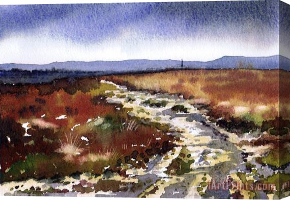 Paul Dene Marlor Frosty Lane Norland Stretched Canvas Print / Canvas Art