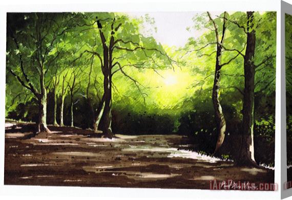 Paul Dene Marlor Judy Woods Stretched Canvas Painting / Canvas Art