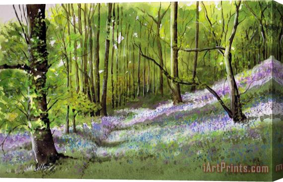 Paul Dene Marlor Path through bluebell wood Stretched Canvas Painting / Canvas Art