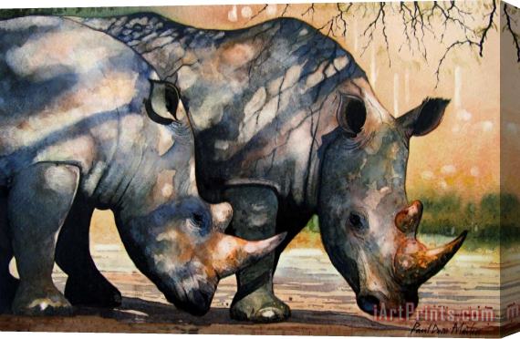 Paul Dene Marlor Rhinos in dappled shade. Stretched Canvas Print / Canvas Art