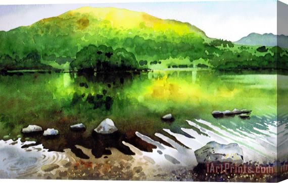 Paul Dene Marlor Ripples on Rydal Water Stretched Canvas Print / Canvas Art