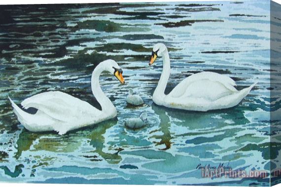 Paul Dene Marlor Swans and Cygnets Stretched Canvas Painting / Canvas Art