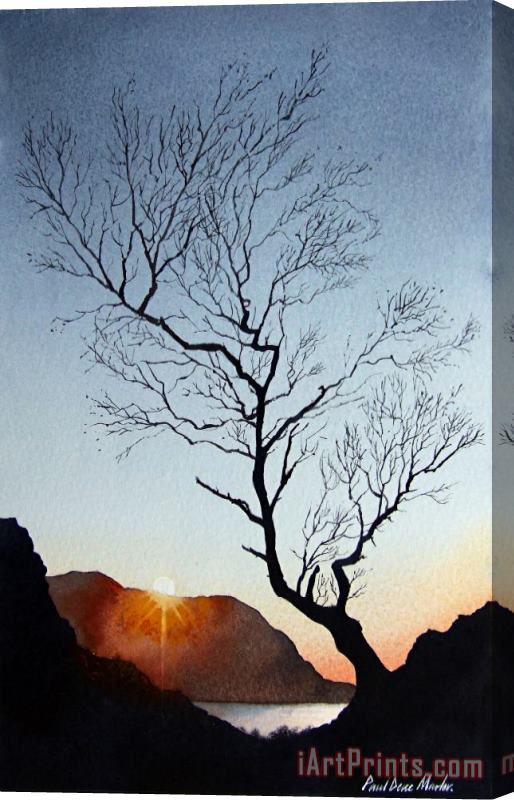 Paul Dene Marlor Tree above Crummock water Stretched Canvas Painting / Canvas Art